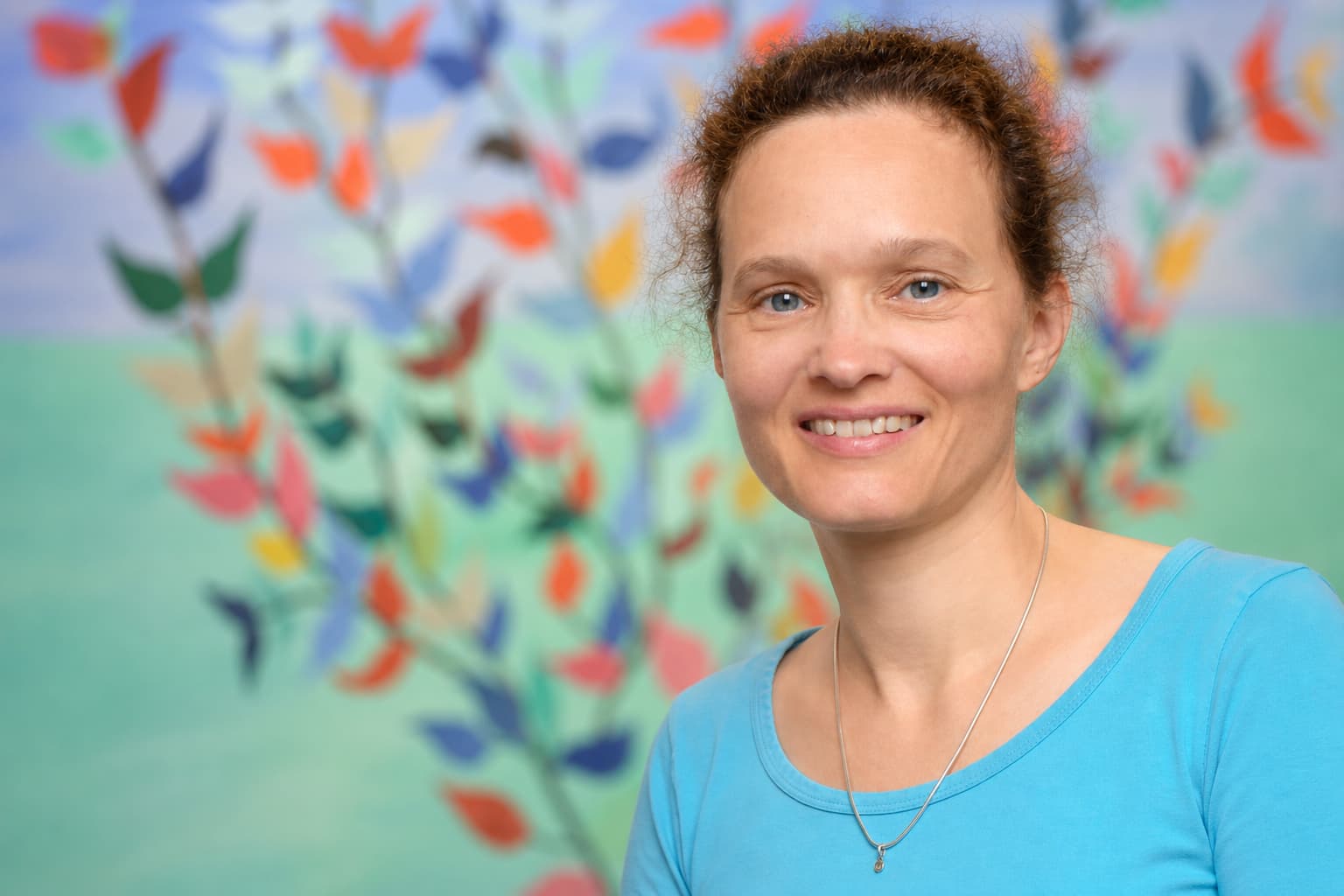 Dr. Steuer